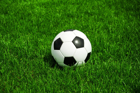 雷速体育官网在线平台界面展示